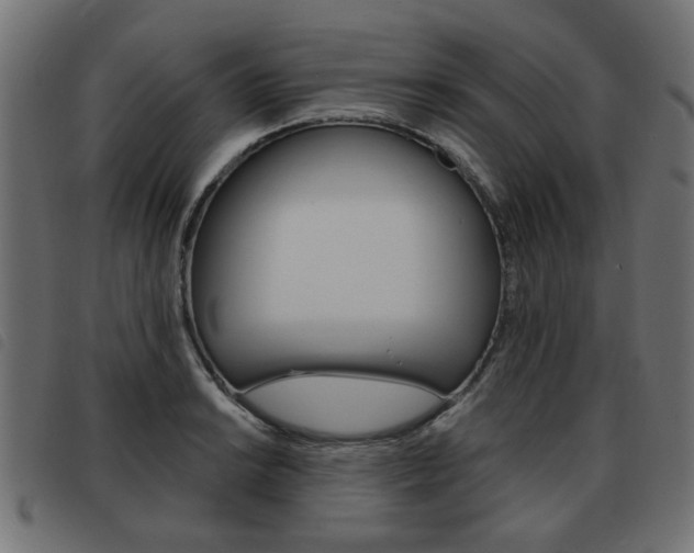 X0000093581038200710150953