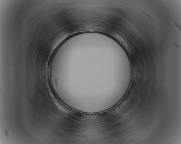 X0000093581039200710150953