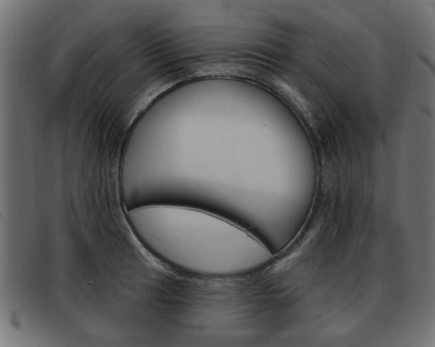 X0000093581041200710150953
