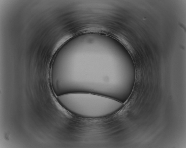 X0000093581042200710150953