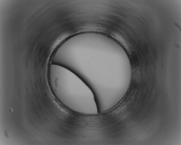 X0000093581043200710150953