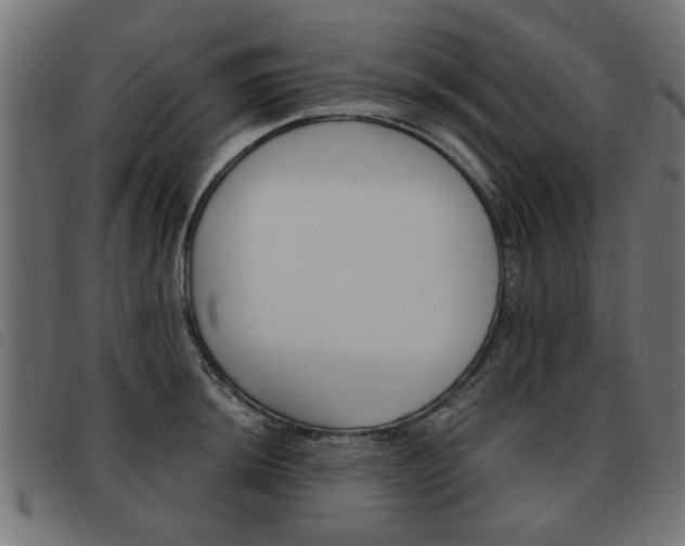 X0000093581044200710150953
