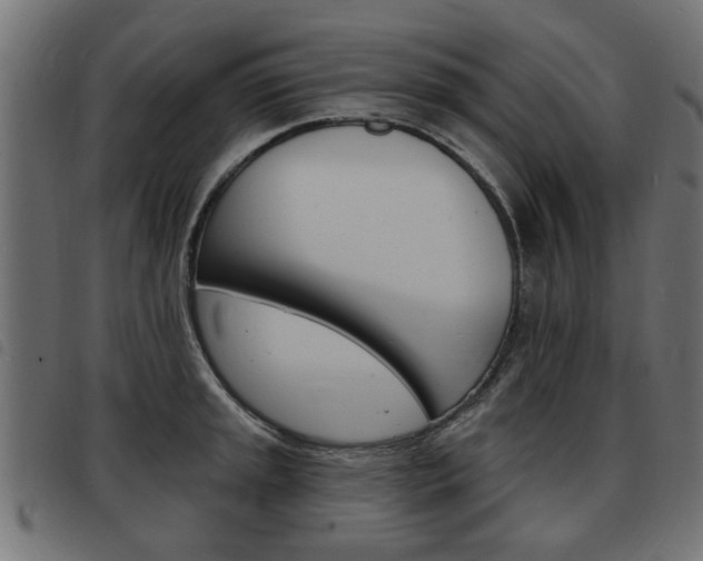 X0000093581045200710150953