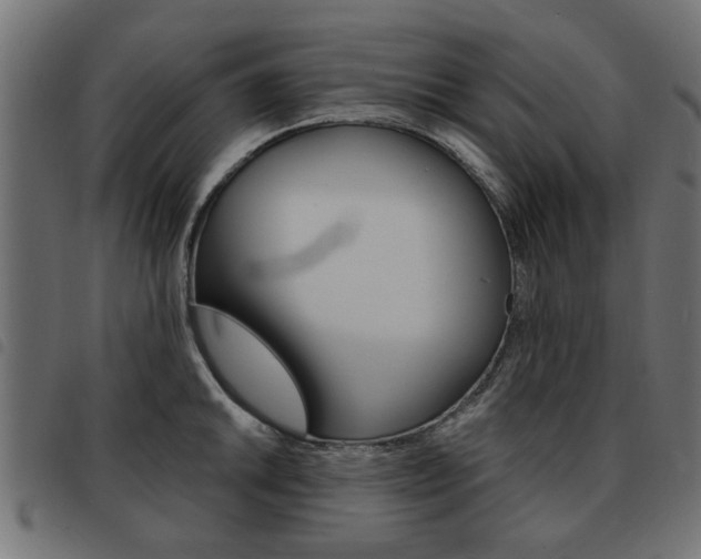 X0000093581046200710150953