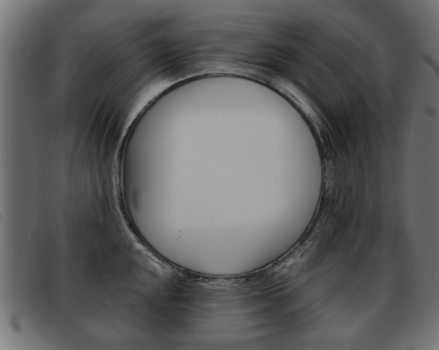 X0000093581048200710150953