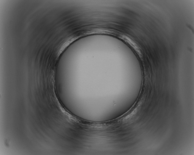 X0000093581049200710150953