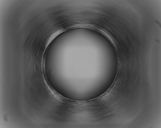 X0000093581050200710150953