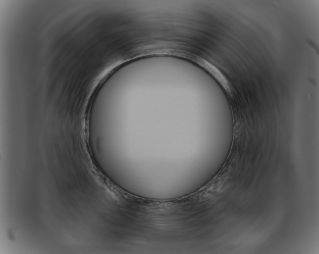 X0000093581051200710150953