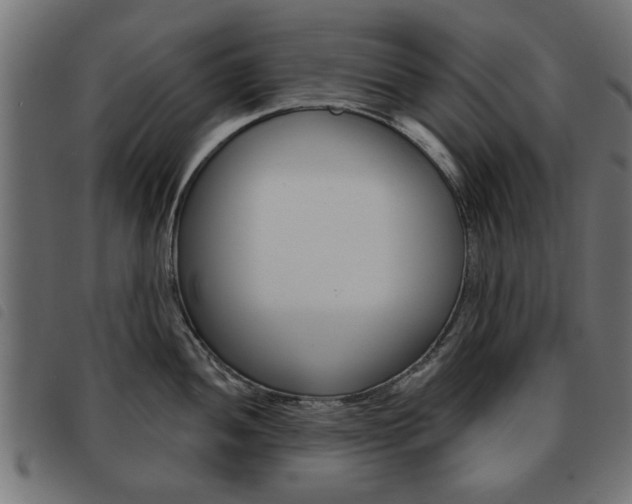 X0000093581052200710150953