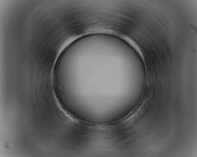 X0000093581053200710150953