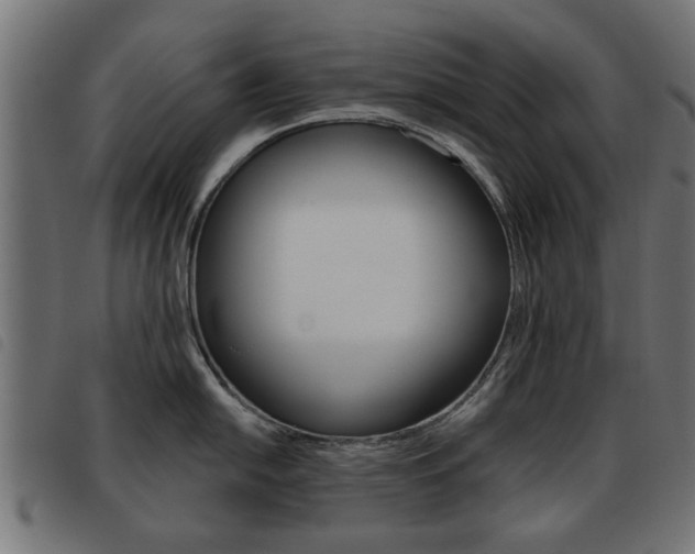 X0000093581054200710150953