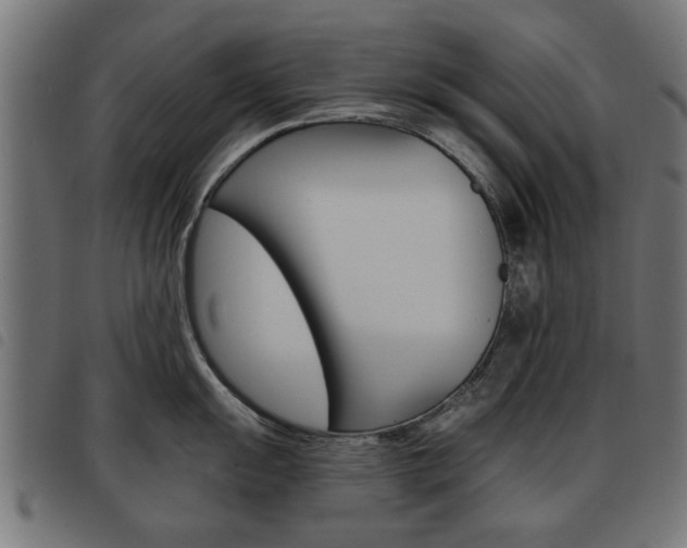 X0000093581055200710150954