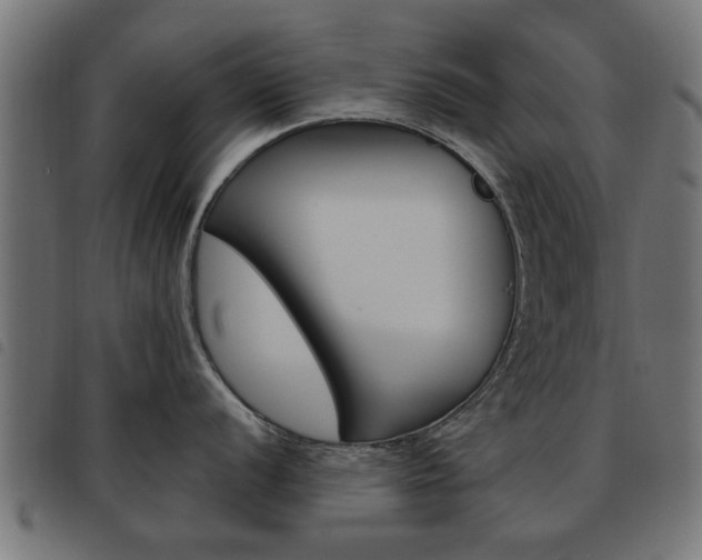 X0000093581056200710150954