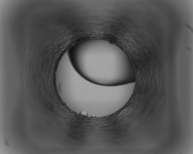 X0000093581057200710150953