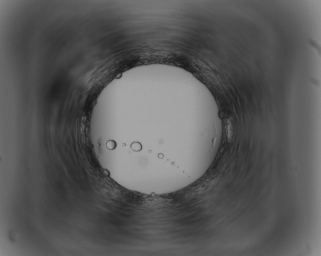 X0000093581059200710150953
