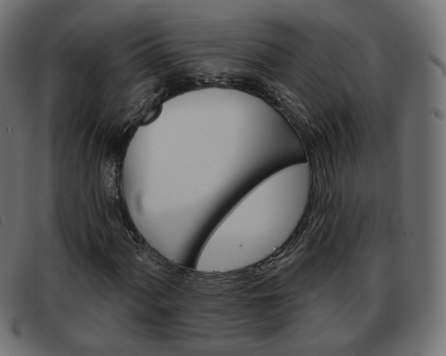 X0000093581060200710150953