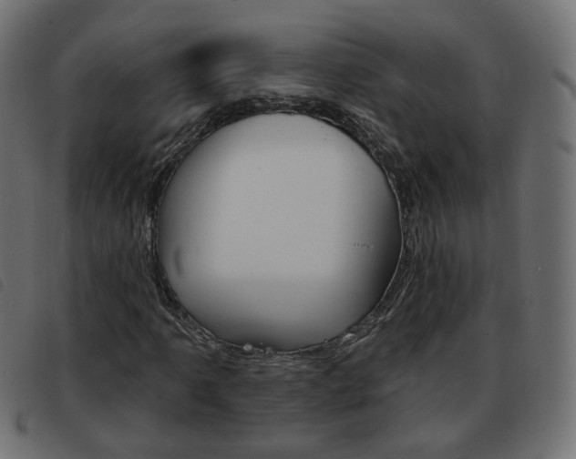 X0000093581061200710150953