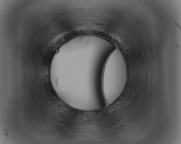 X0000093581062200710150953