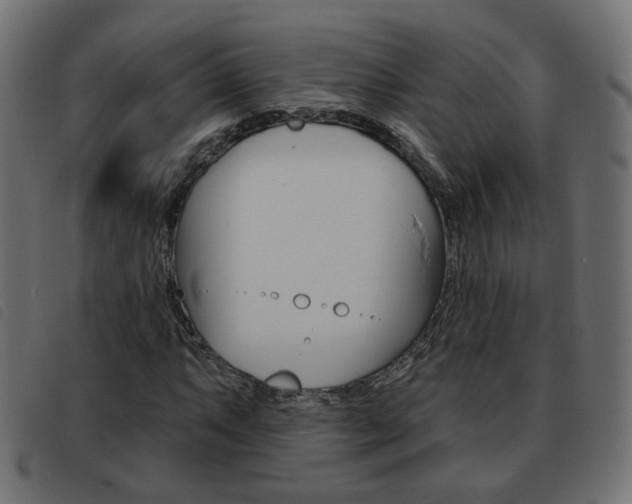 X0000093581063200710150953