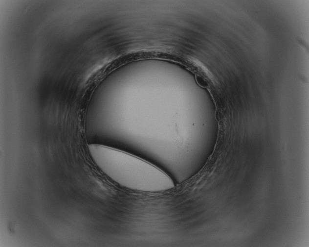X0000093581064200710150953
