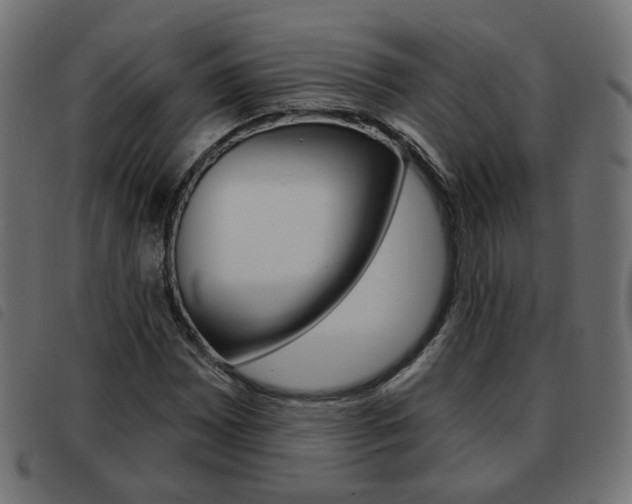 X0000093581065200710150953