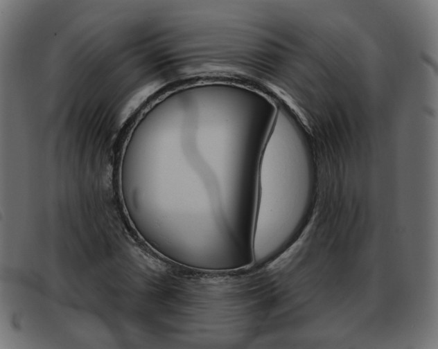 X0000093581066200710150953