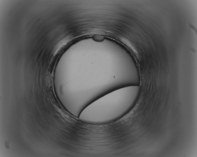 X0000093581067200710150953