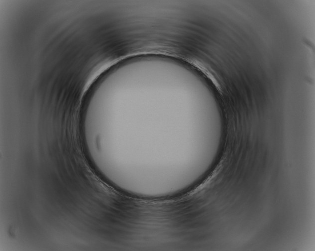 X0000093581069200710150953