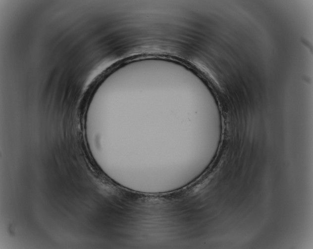 X0000093581070200710150953