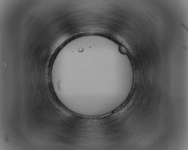 X0000093581071200710150953