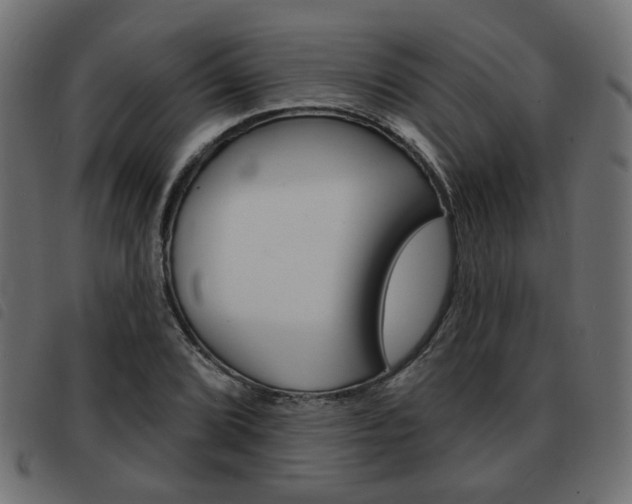 X0000093581072200710150953