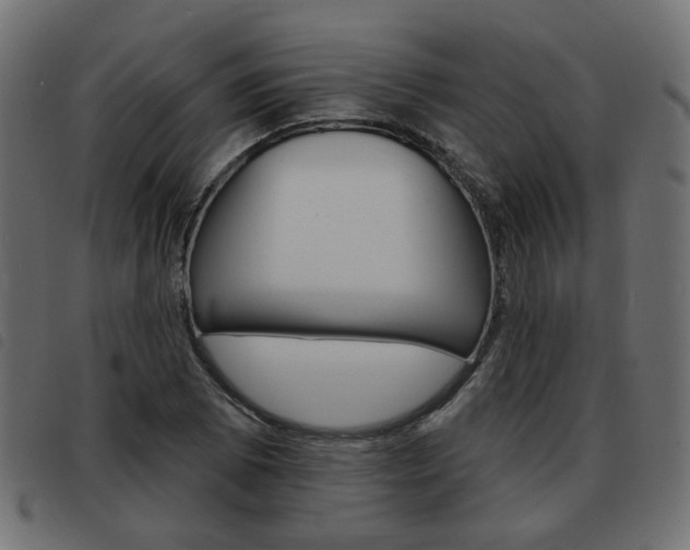 X0000093581073200710150953