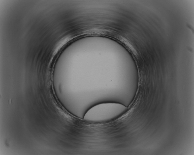 X0000093581075200710150953