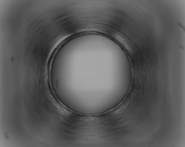 X0000093581076200710150953