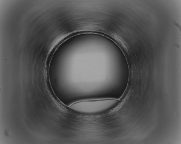 X0000093581077200710150953