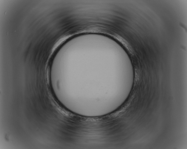 X0000093581078200710150953