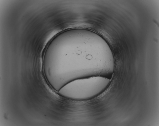 X0000093581079200710150953