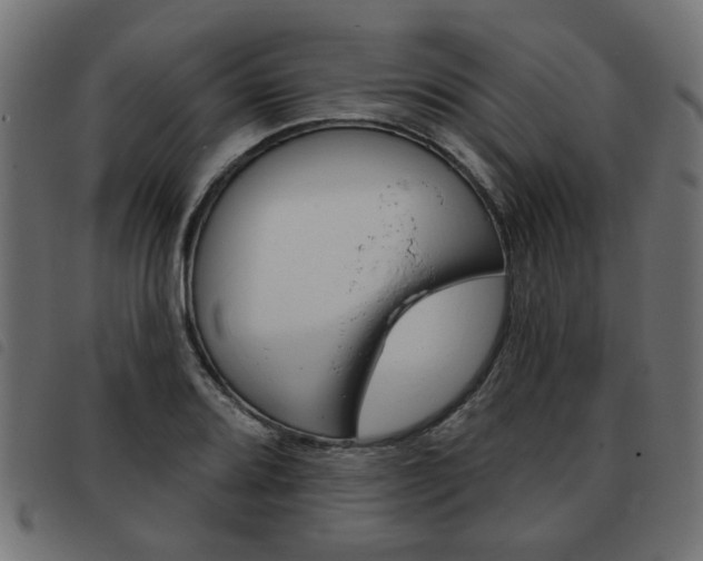 X0000093581080200710150953