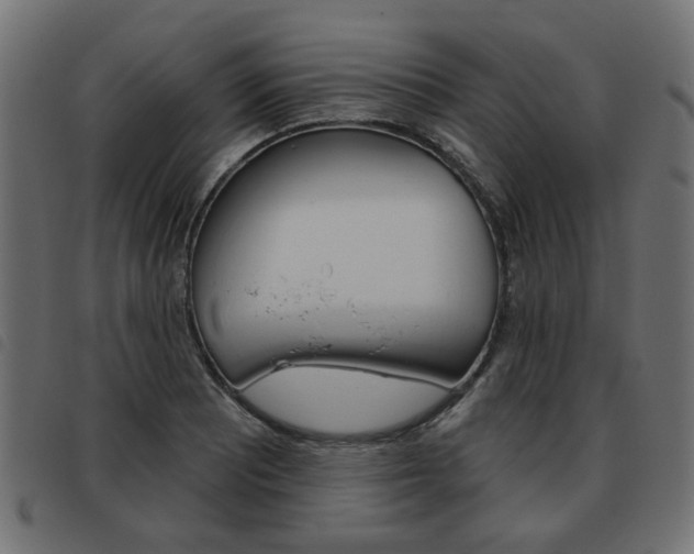 X0000093581081200710150953