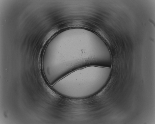 X0000093581082200710150952