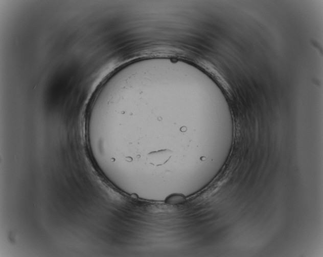 X0000093581083200710150952