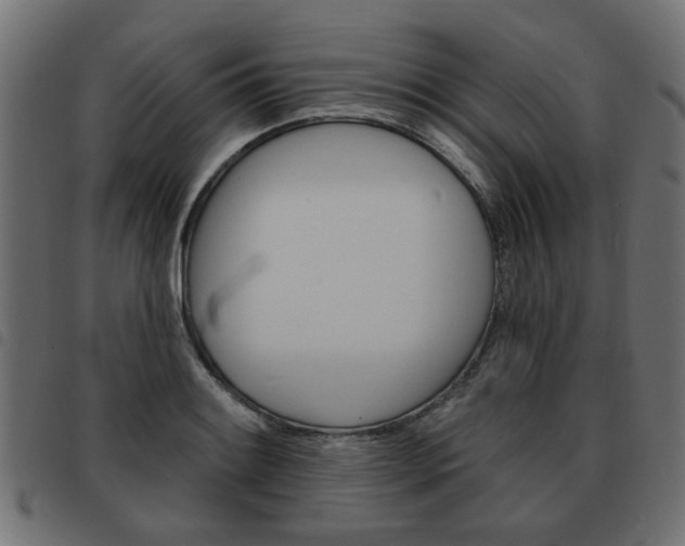 X0000093581084200710150952