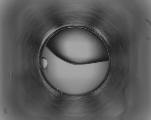 X0000093581085200710150952