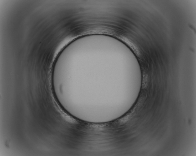 X0000093581086200710150952
