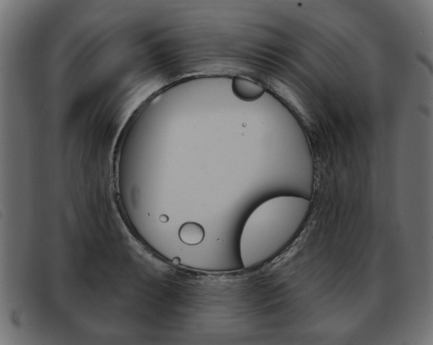 X0000093581087200710150952