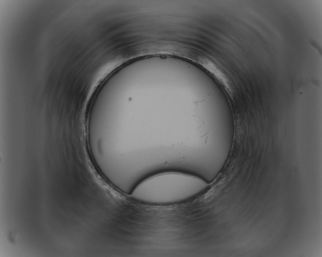 X0000093581088200710150952