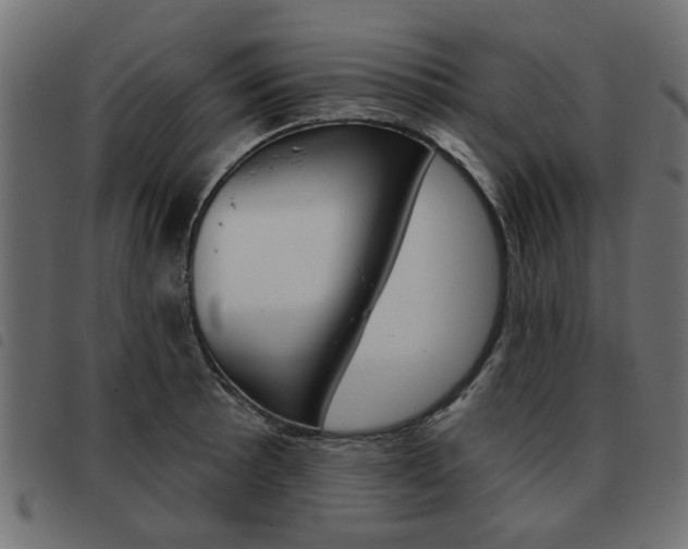X0000093581089200710150952