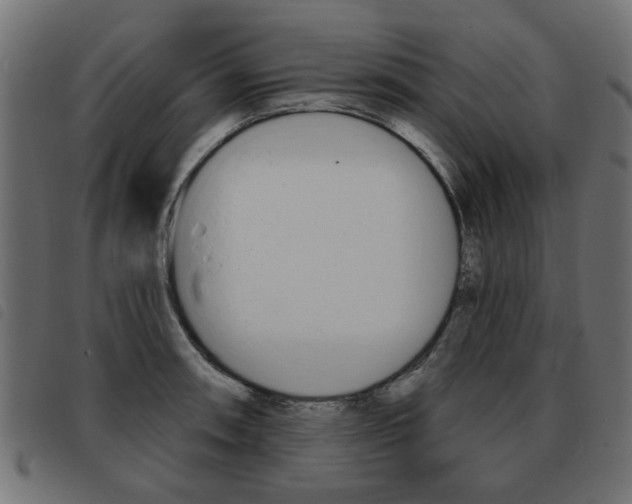 X0000093581090200710150952