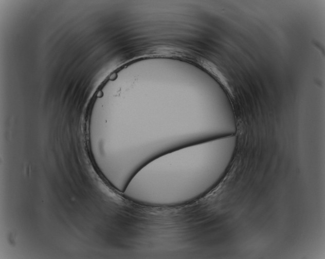 X0000093581091200710150952