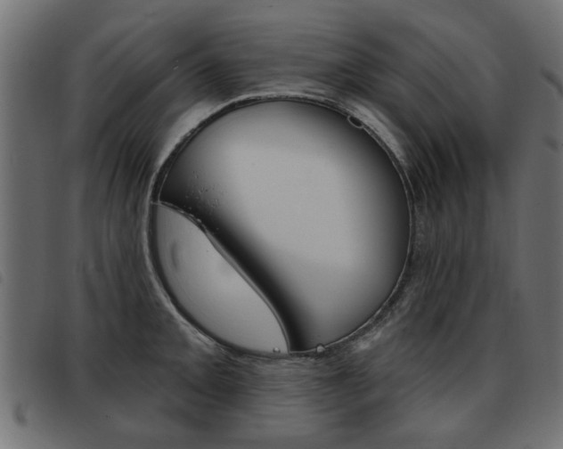 X0000093581093200710150952
